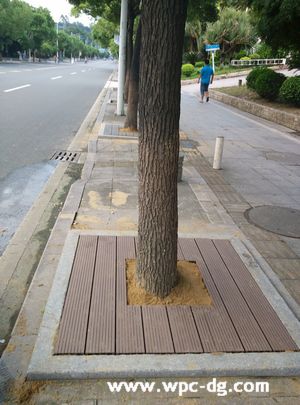鳳崗鎮(zhèn)中心樹池
